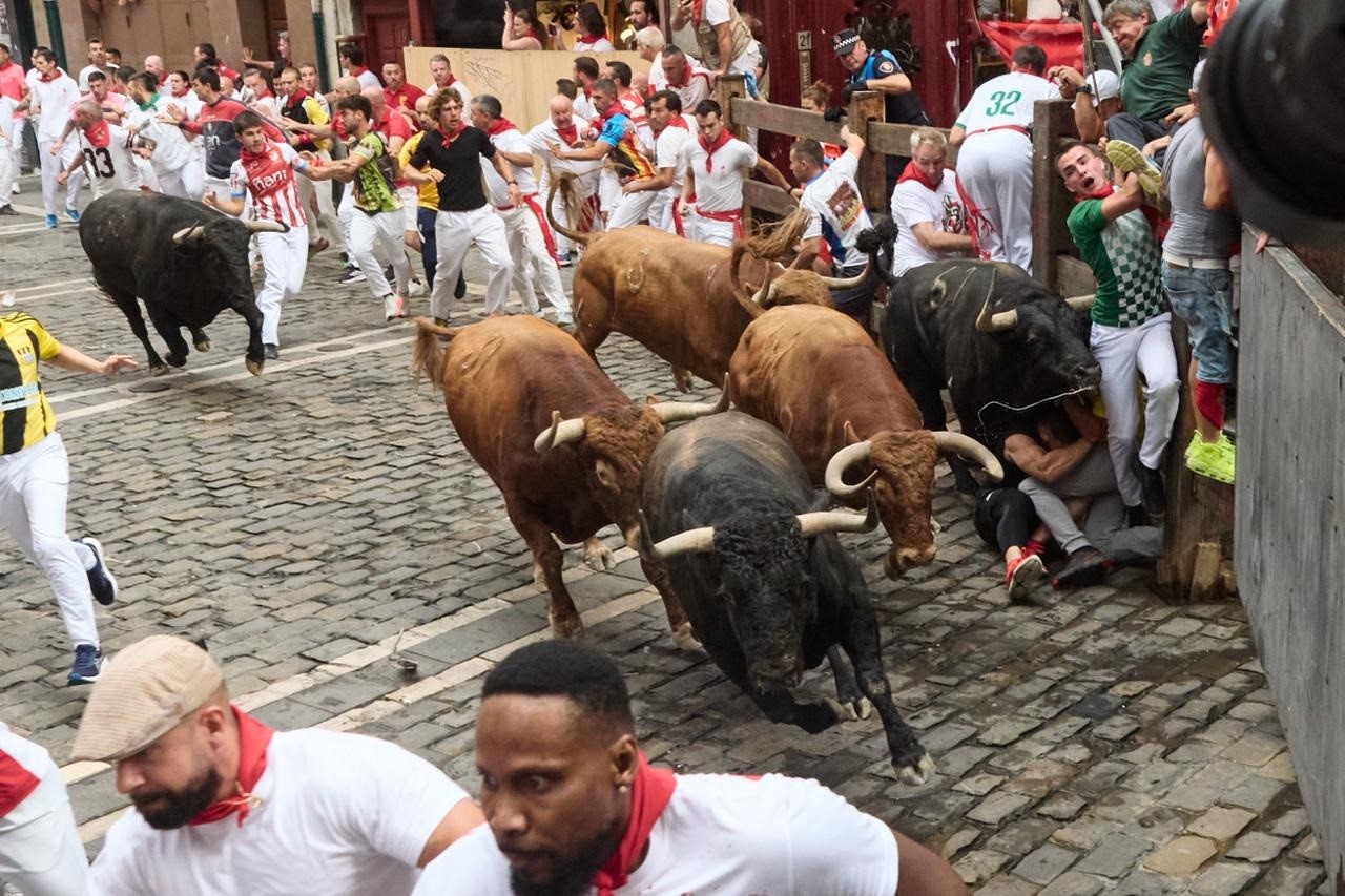 &Aacute;gil carrera de los toros de &Aacute;lvaro N&uacute;&ntilde;ez