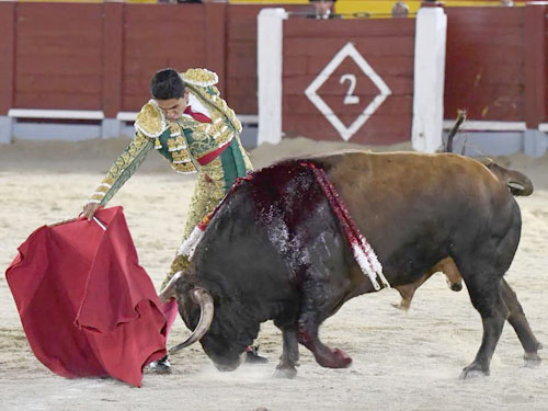Solvente actuaci&oacute;n de H&eacute;ctor Guti&eacute;rrez