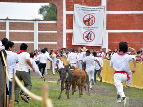 Exitoso encierro infantil en "Cinco Villitas"