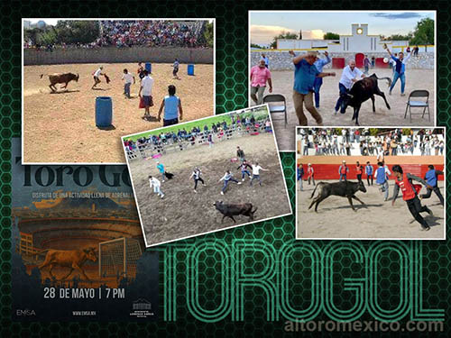 Del "Torogol" al "Mundial del Toreo"...