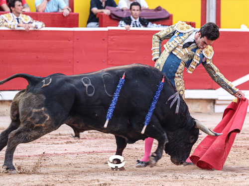 Otorgan trofeos ganaderos en Pamplona