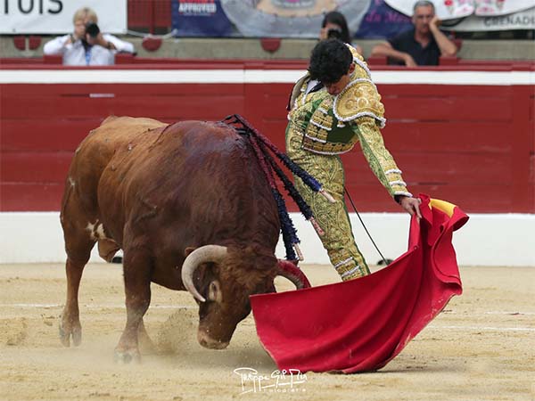 Osornio, zurda de oro; Clovis, tres orejas