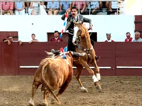 Gamero, a gran nivel en Aldeia
