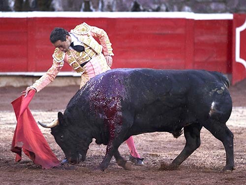 Una corrida ingobernable