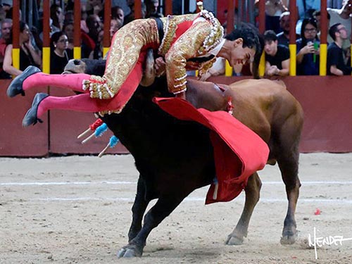 Garibay cae herido grave en Arganda