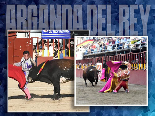 Una cornada y muchos avisos, en Arganda