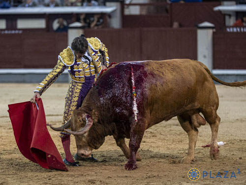 La maestria de Urdiales bajo la tomenta