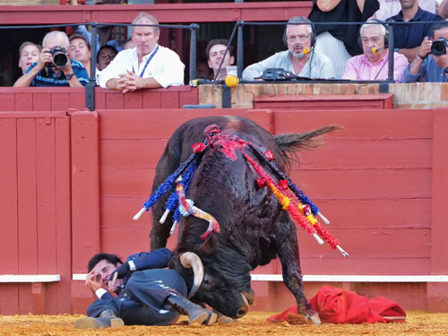 Talavante sufre cornada de dos trayectorias