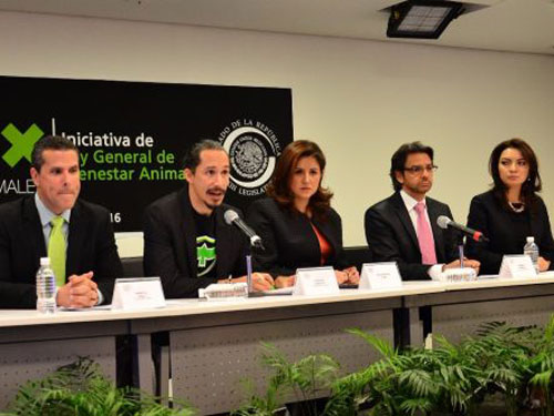 El enemigo que no hemos entendido