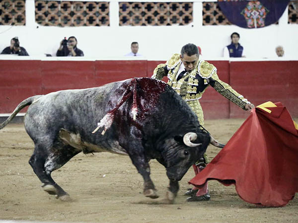 Entregado en todo el trasteo