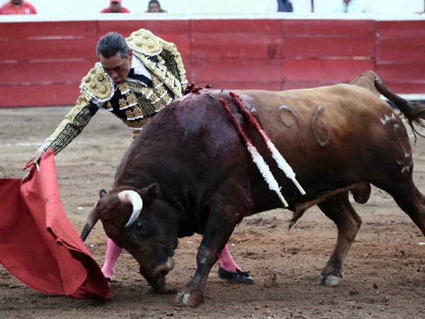 Le plant� cara a su primero