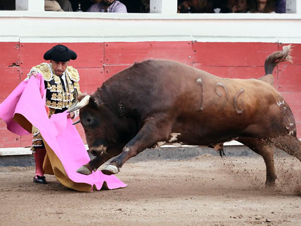 No se prest� mucho el casta�o