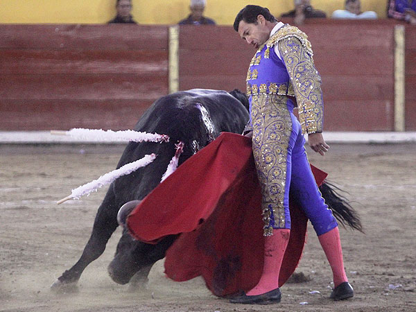 Jer�nimo en artista