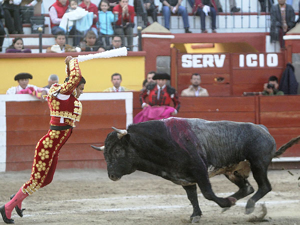 Espectacular con las jaras