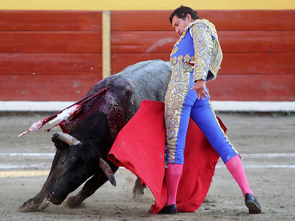 Torero con sello