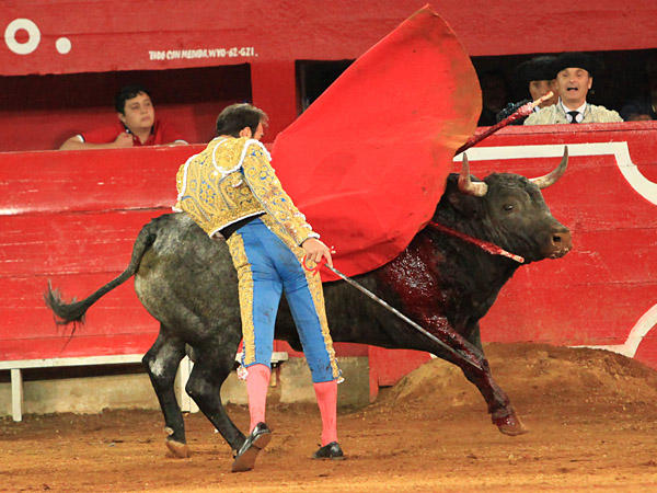 Jale�ndole hasta su banderillero