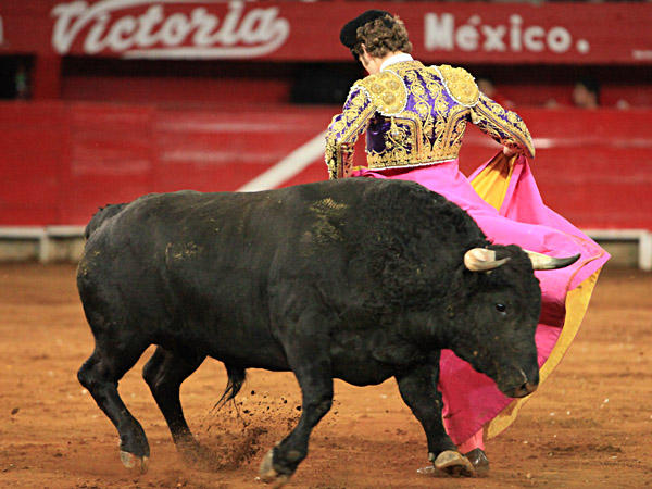 Con alegr�a de joven diestro