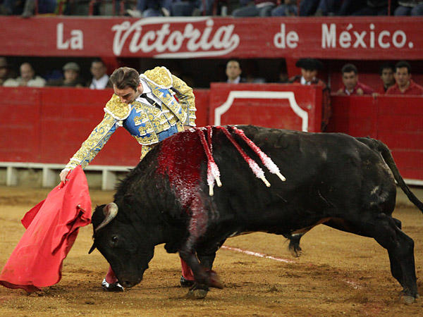 Meti�ndolo en la canasta