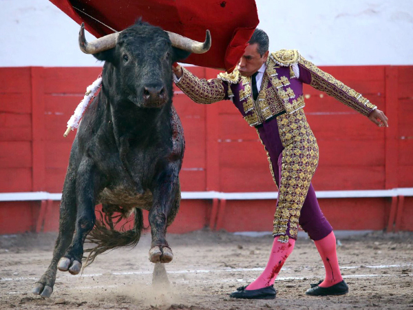 Ech�ndose el toro por delante