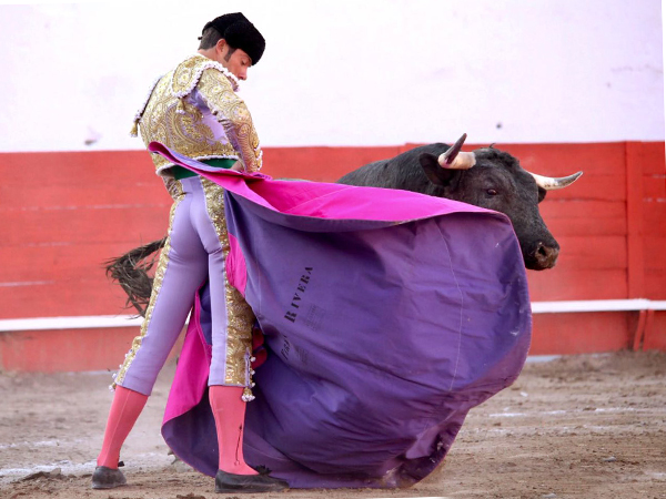 Embestida descompuesta al capote