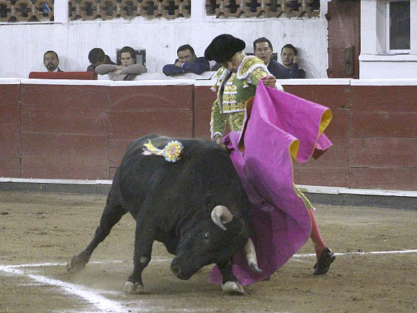 Ce�idas ver�nicas