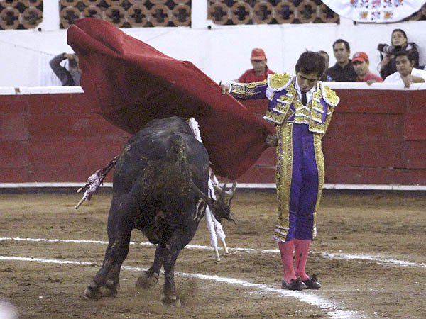 Manoletinas de Adame