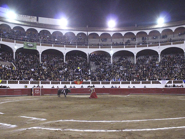 Nocturna, en la Santa Mar�a