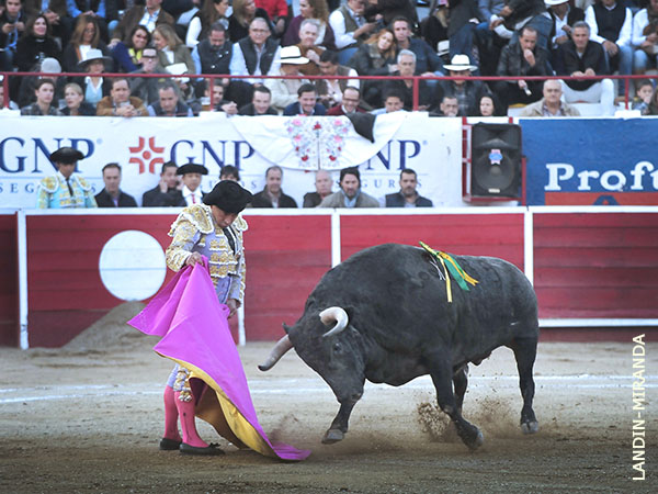 Ver�nicas al c�rdeno