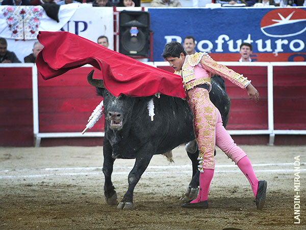 Adornos finales de muleta