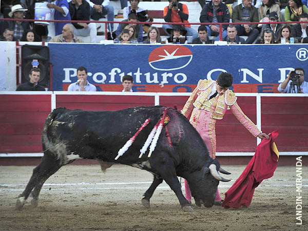 Ejemplar con m�s posibilidades