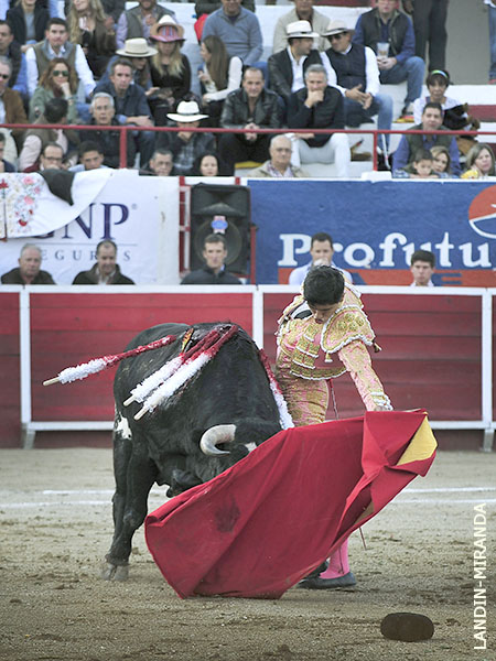 Buen pit�n izquierdo