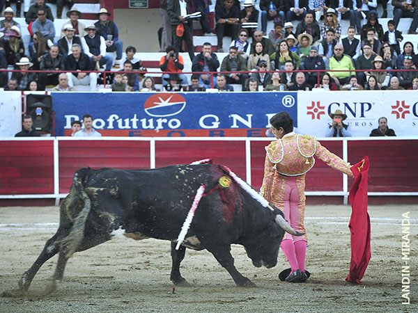 Vibrante inicio de faena
