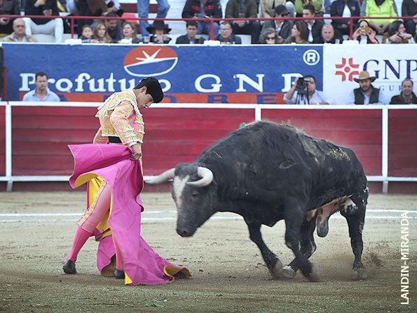 Saludo capotero de Luis David