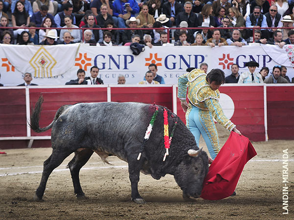 Ejemplares dosantinas