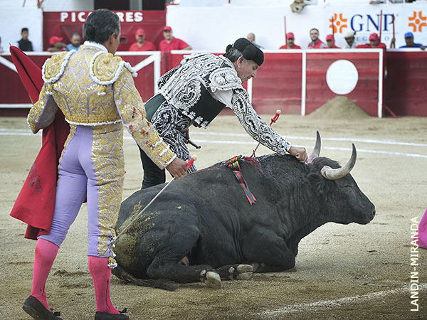 Memo, oficiando con la puntilla