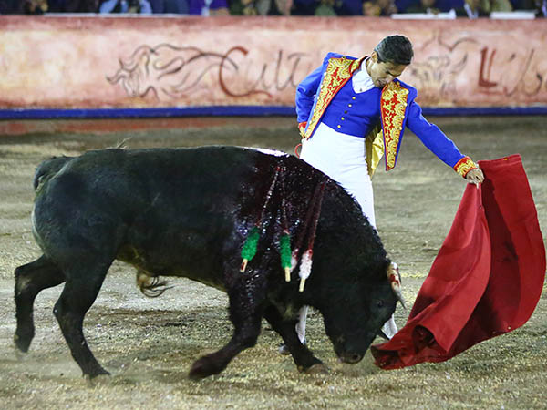 La izquierda de Diego