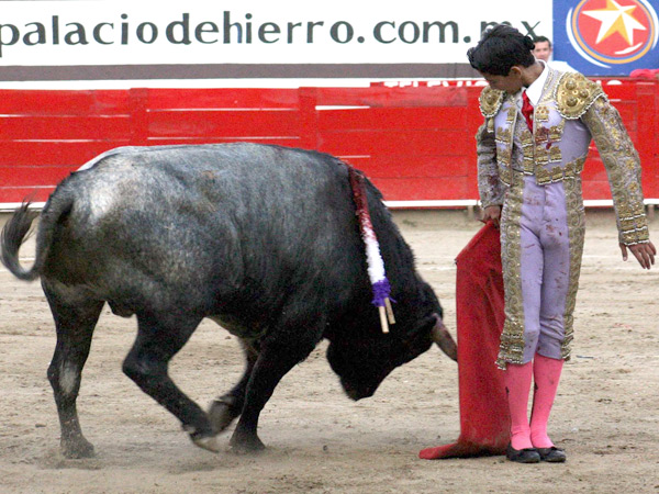 Una vitolina en Guadalajara