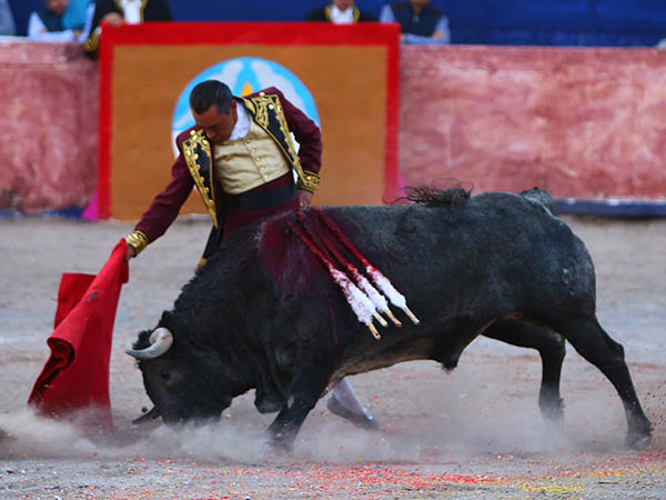 Templando al c�rdeno