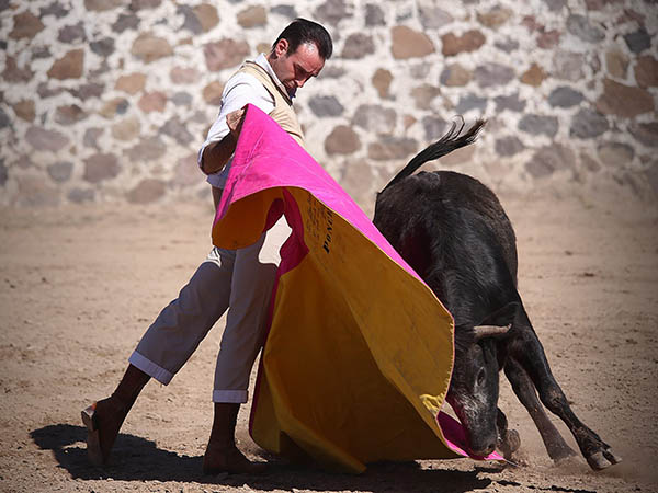 Regusto en el capote