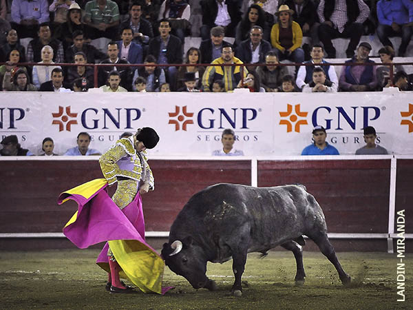 Brind� un concierto de capote