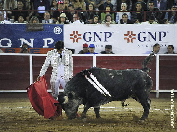 Aprovech� las embestidas