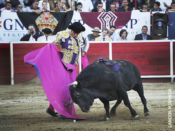 Luci� en el capote con el cuarto