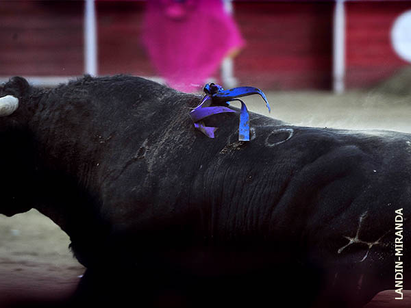 La divisa de Juli�n