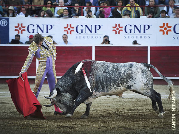 Posiblemente corto de la vista