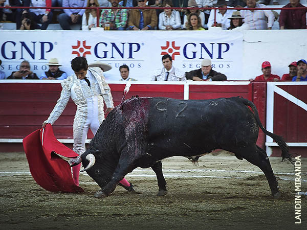 Tirando del ejemplar