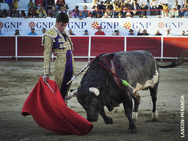 Verticalidad potosina