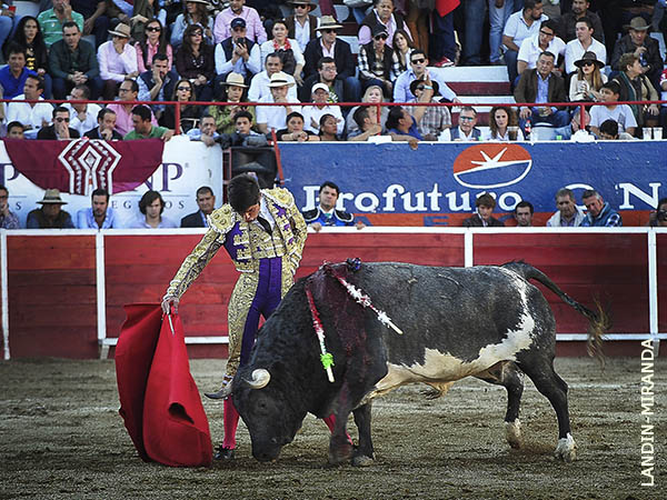 El toreo cl�sico de Ferm�n