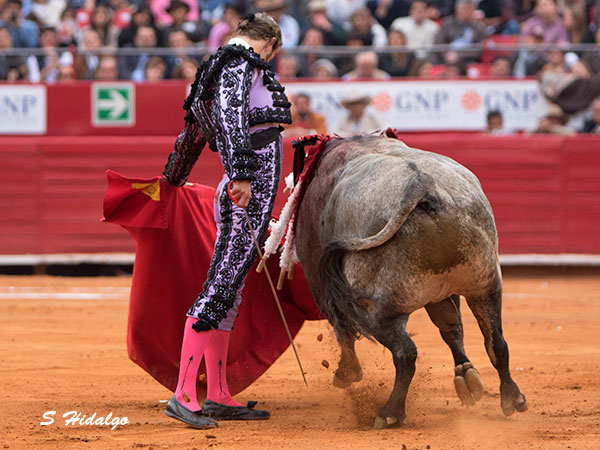 En los terrenos del toro