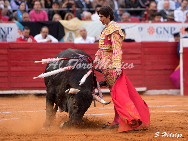 Castella, en maestro