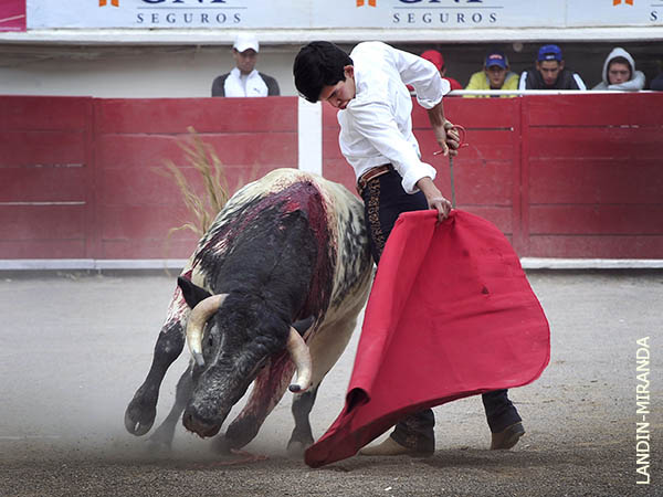 Detr�s de la cadera